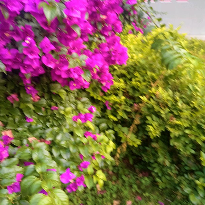 永远健康，陈姐