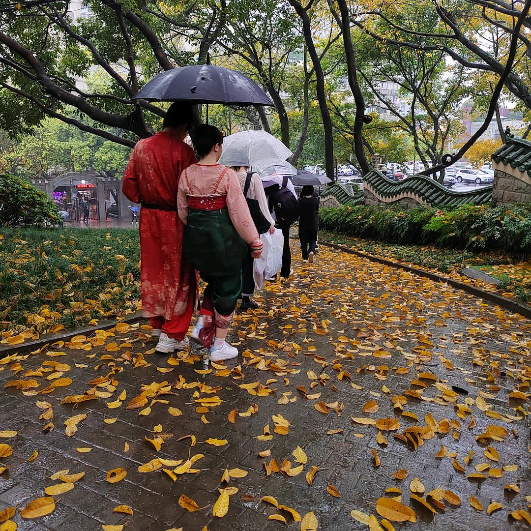 苦海拾贝