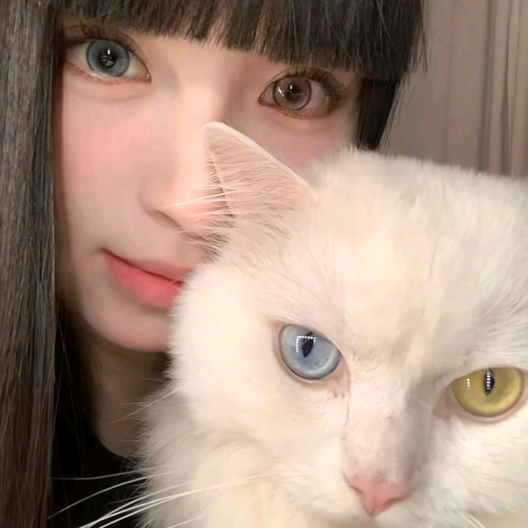 不⁴辣妹好烦