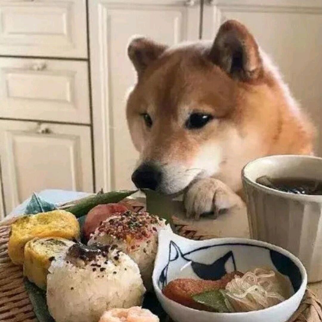拌饭