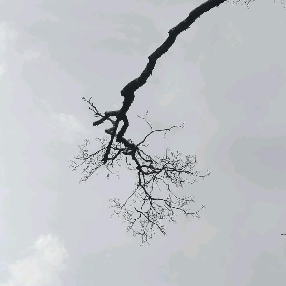 机动车检测   孙锐