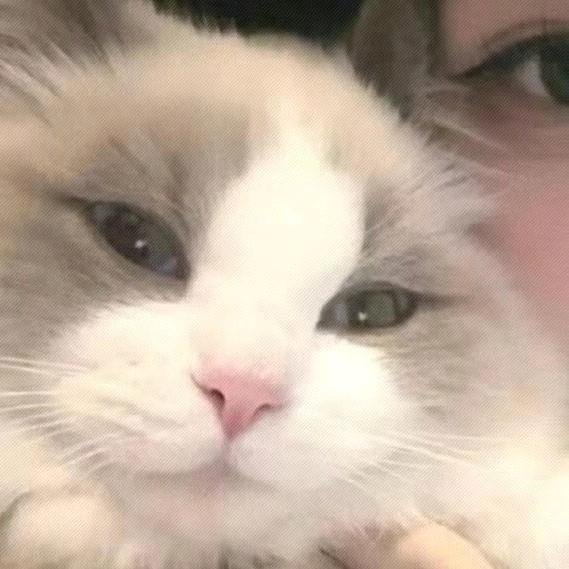 开心点