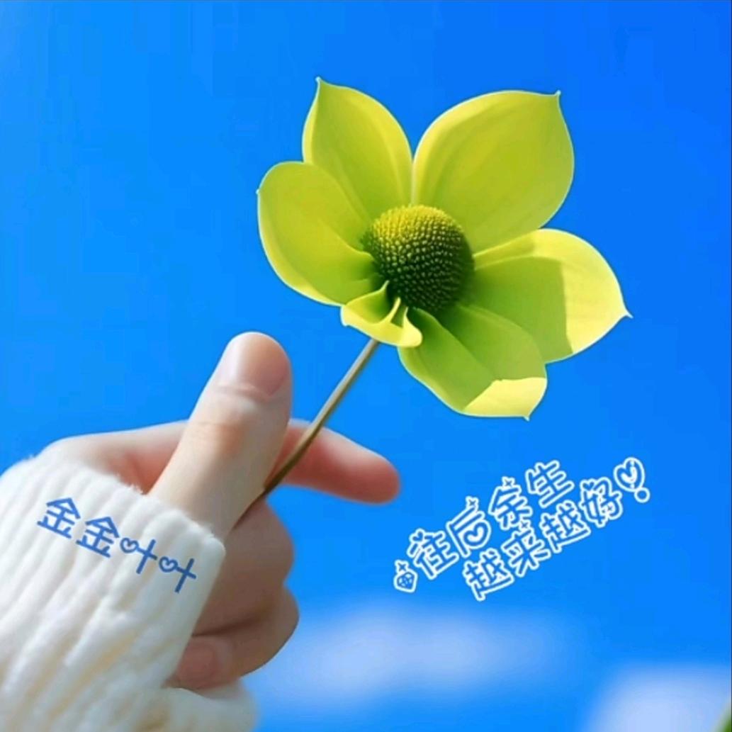 @এ᭄心如冰封ོꦿృ༊：
