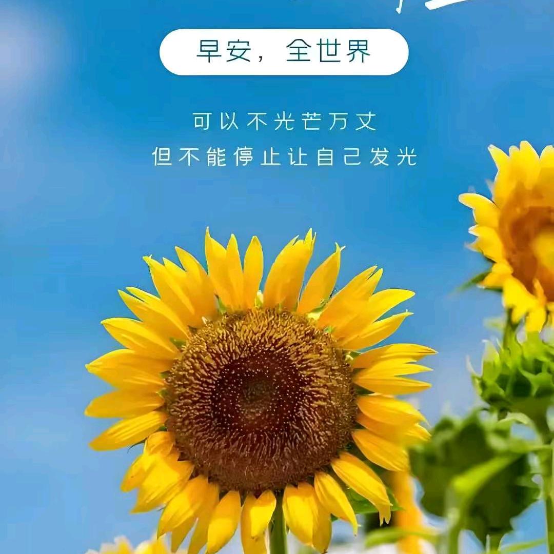 乐悠刘家