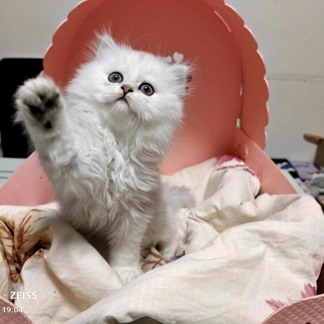 水淼