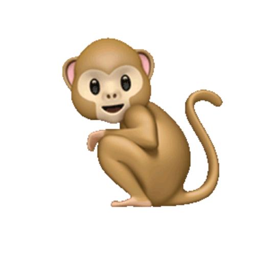 🐒L建