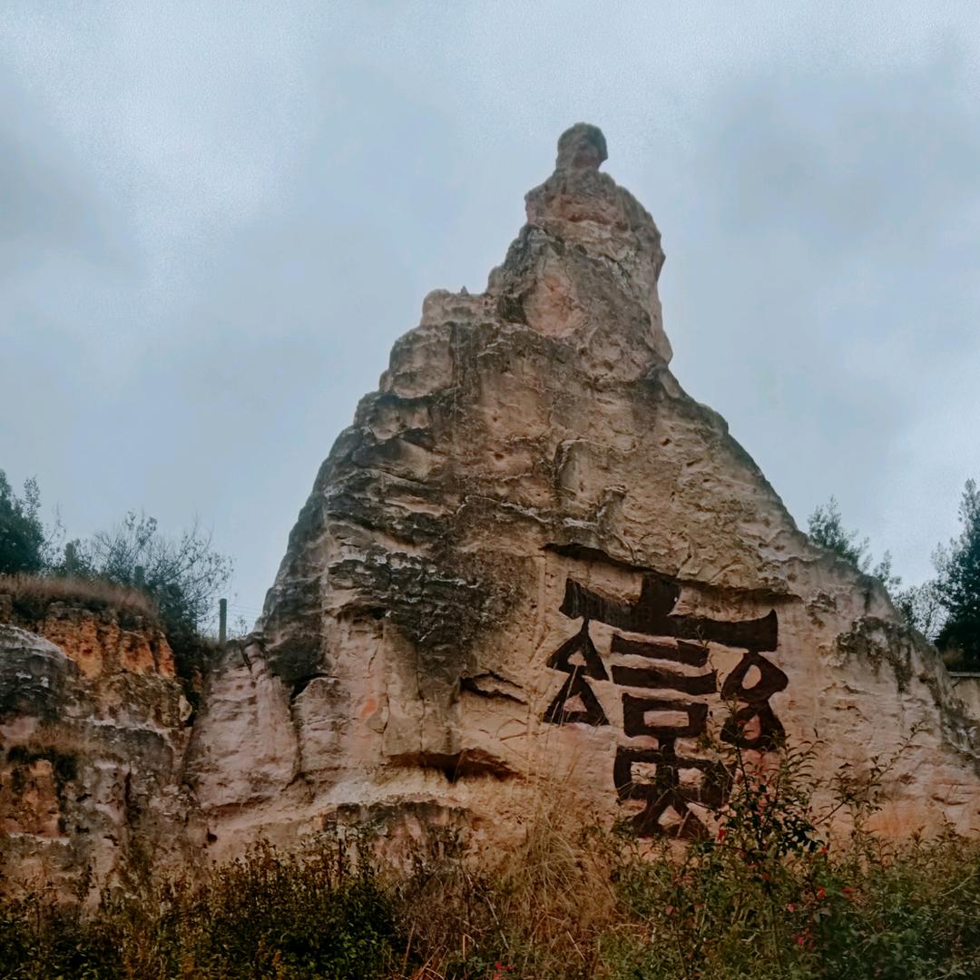 我的心只属于你69796