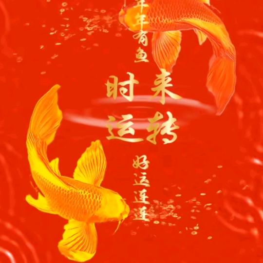 心若向阳，何惧忧伤