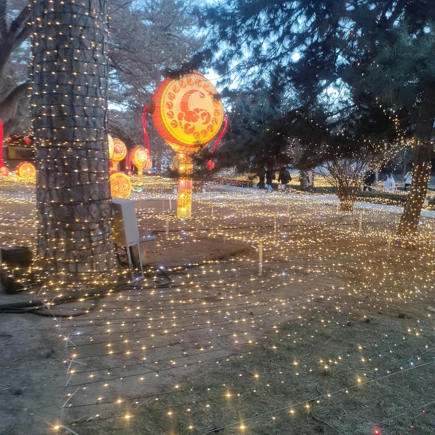 小野弟