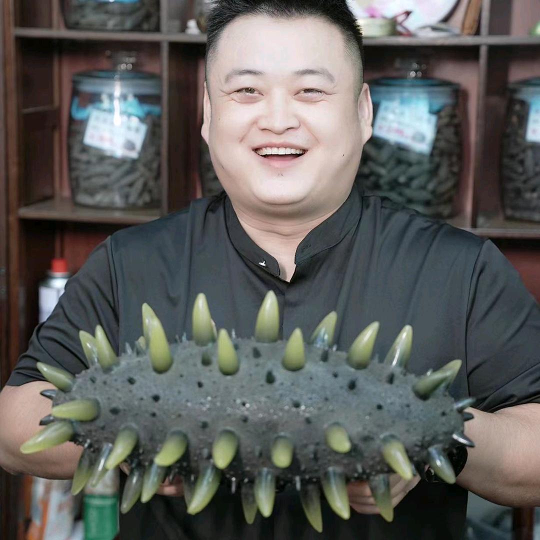 帅帅的海参