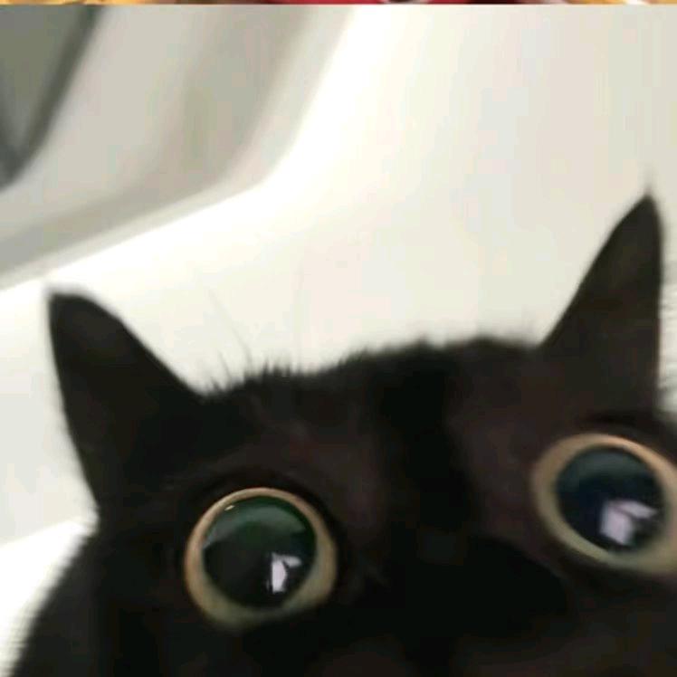 墨鱼饼