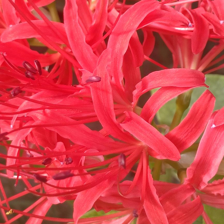 天…高…云…淡