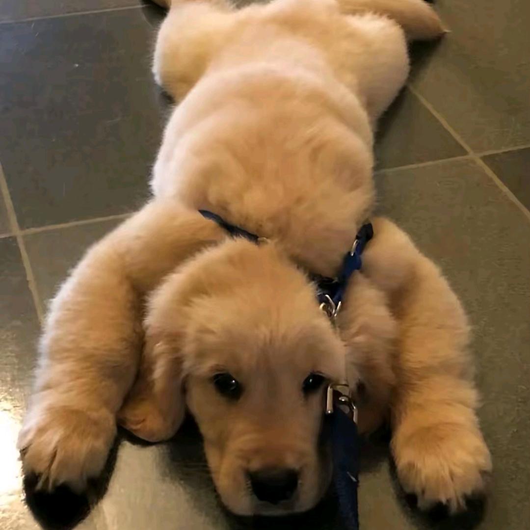 曾经蜡笔没有小新