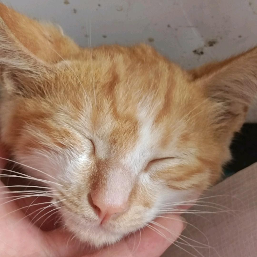 aaaaa+, yt:ii ===889