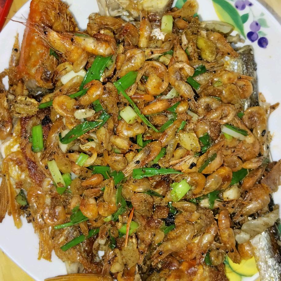 飞天鱿鱼