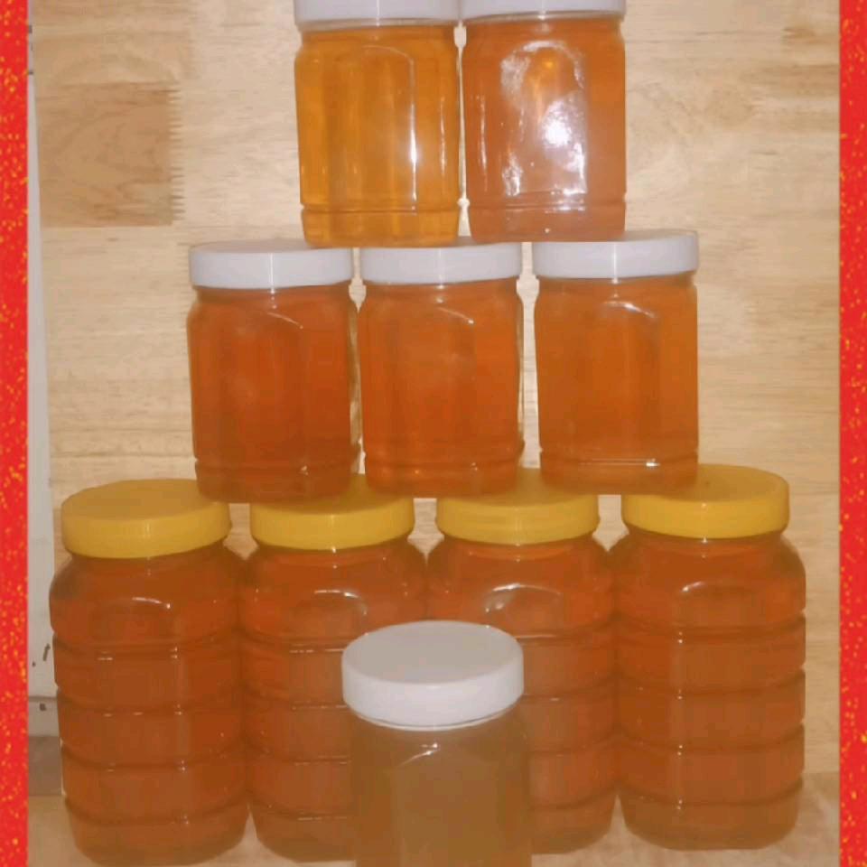 洛阳孟津常袋镇治国中蜂养殖