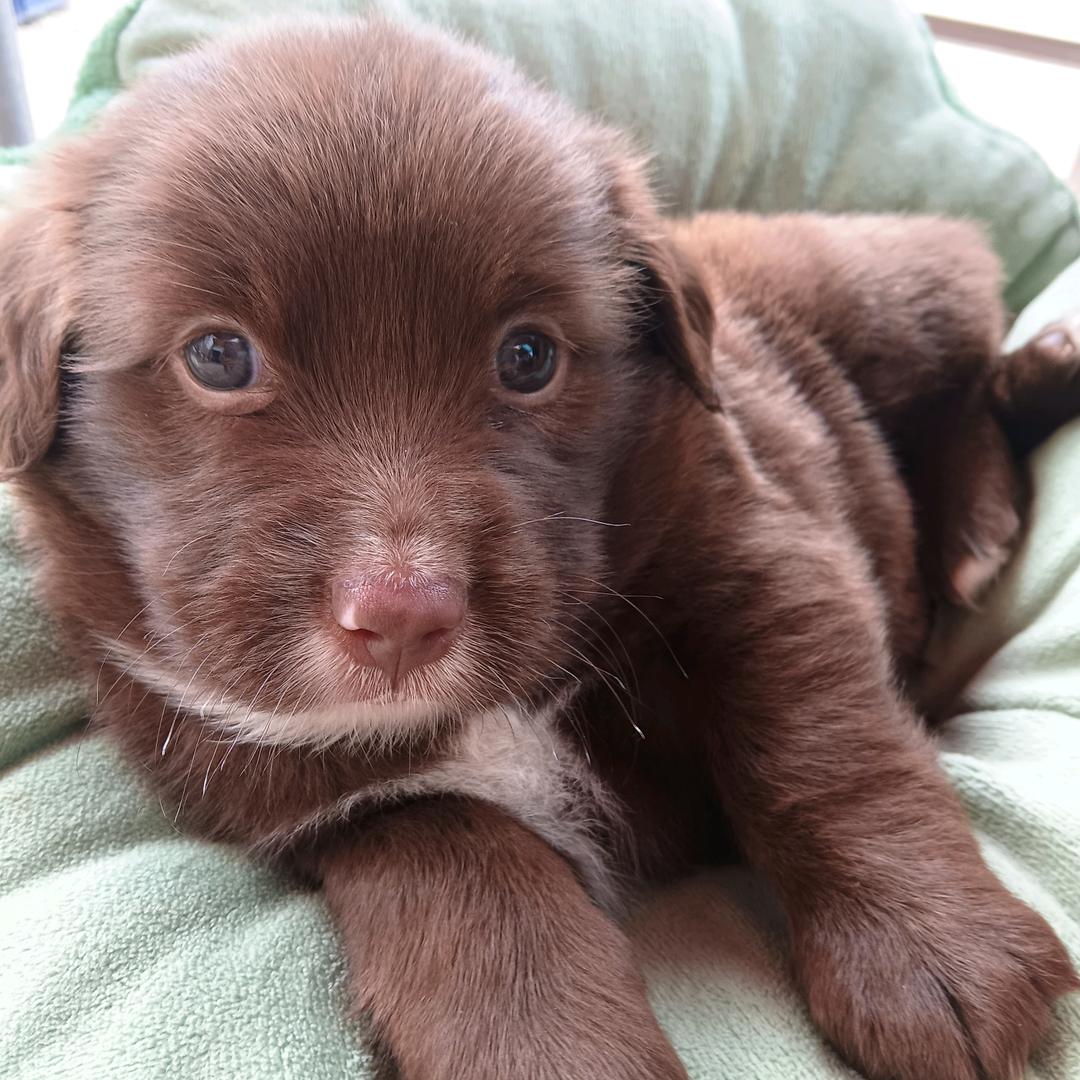 爱吃泡椒牛肉面