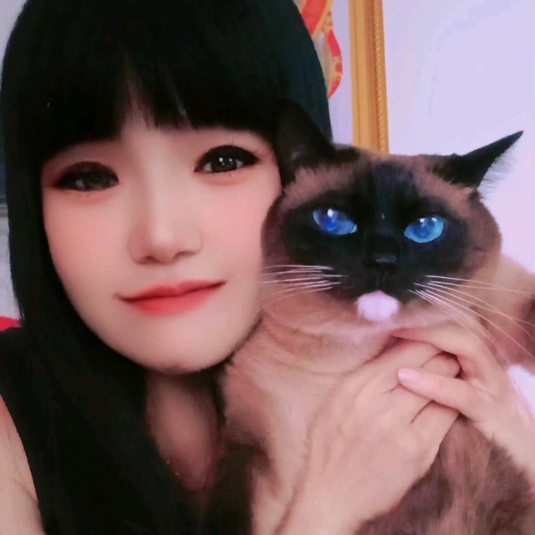 胖二丫❤️喵喵
