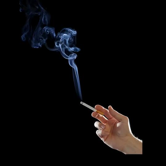 理想