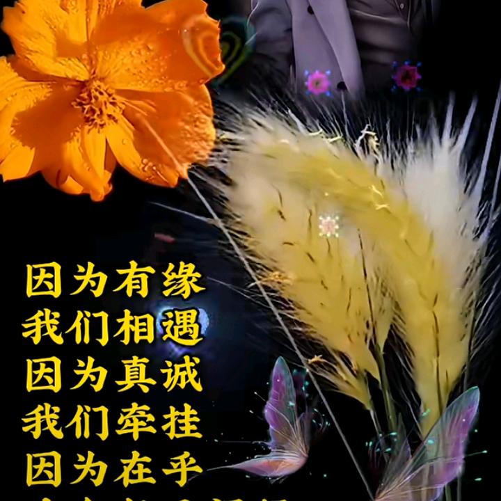 沉默是金