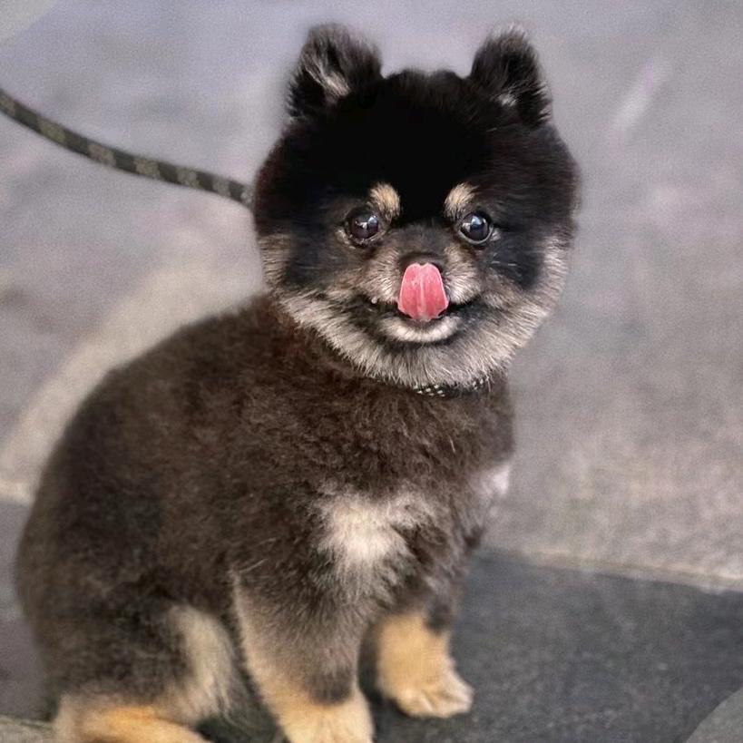 李如意😁