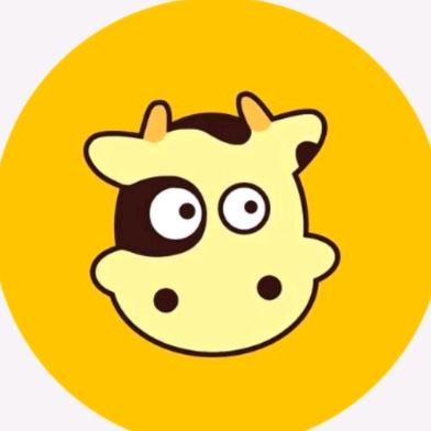csol小新
