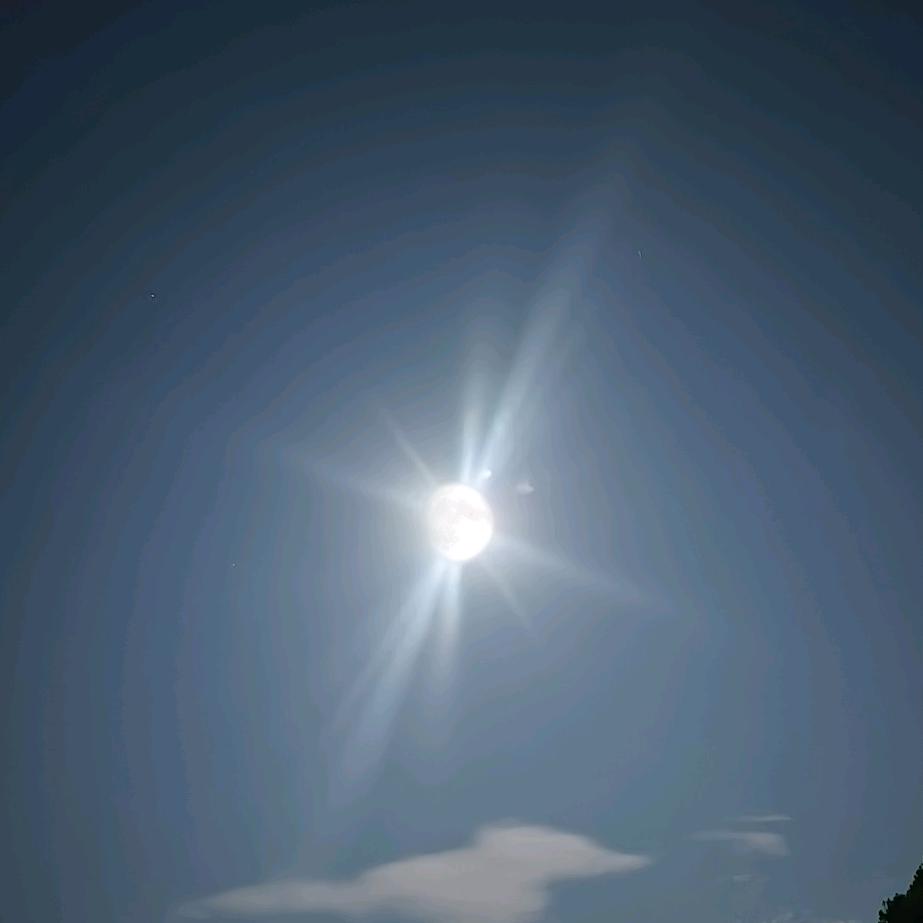 山哥