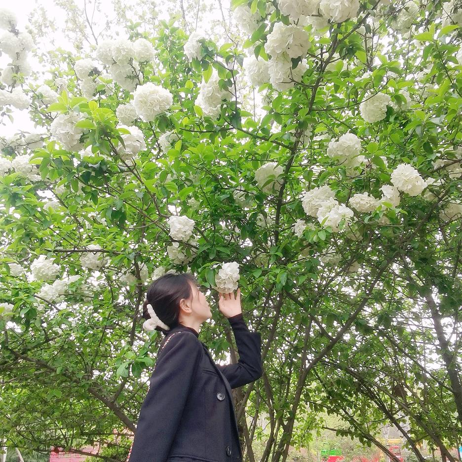 小花儿🏡🌸