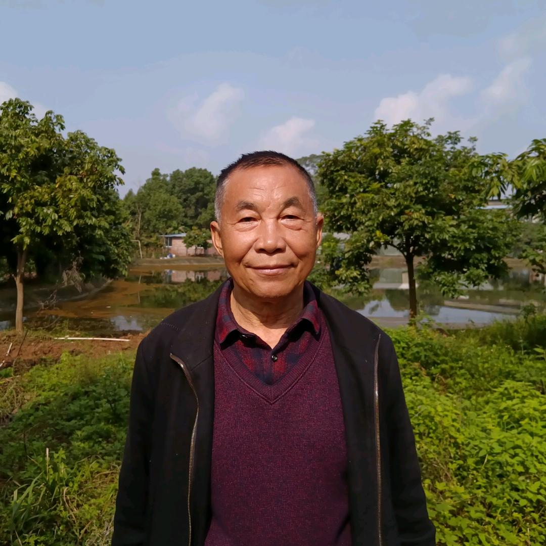 王蜂子