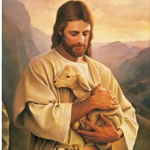 鸽子蛋🥚🥚🥚🥚🥚🥚🥚