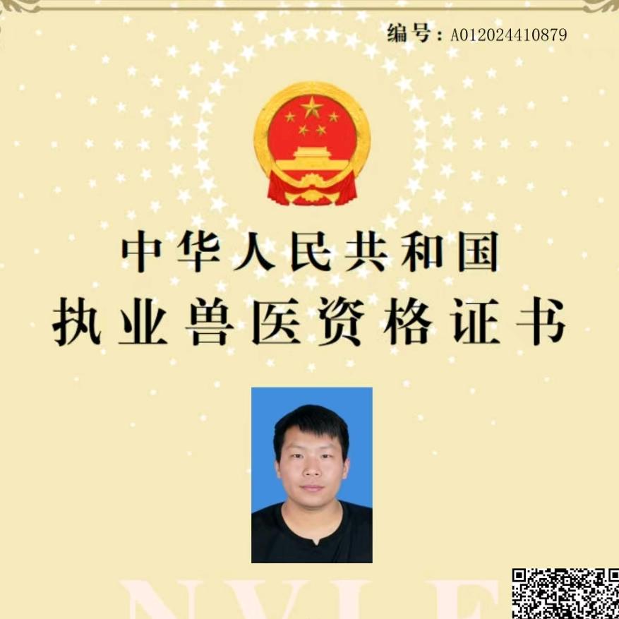 硕果动保——执业兽医师刘涛