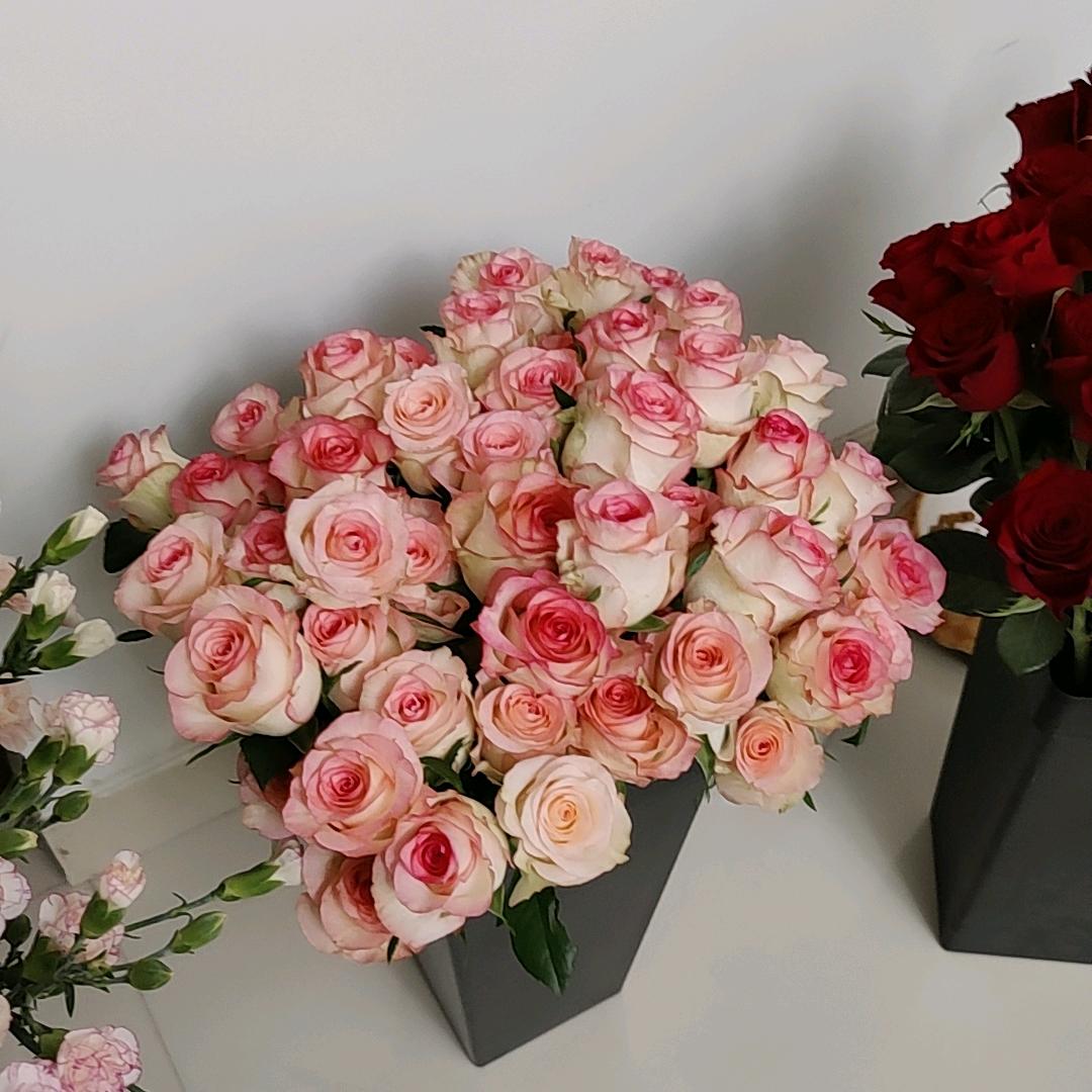 丁丁爆米花