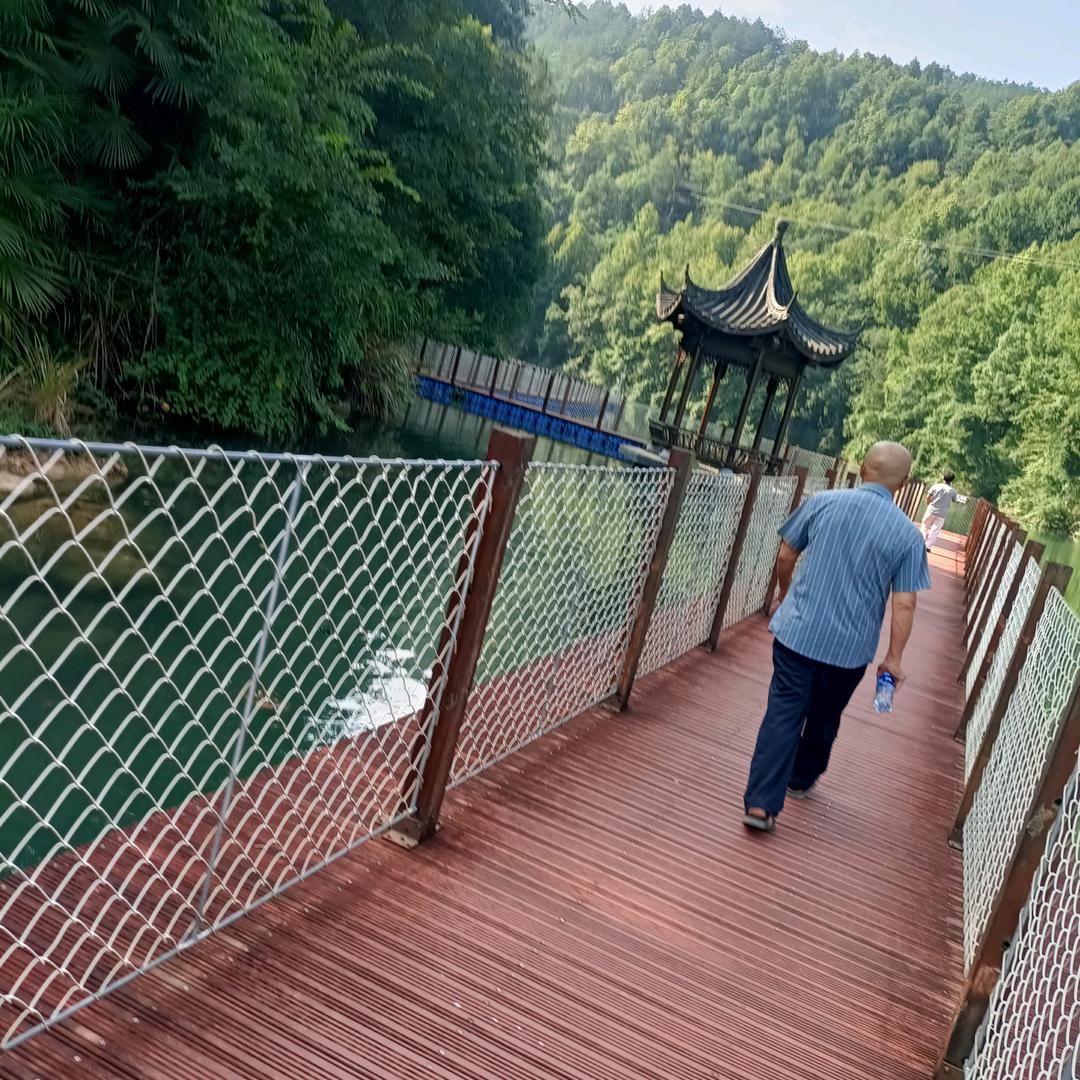 湖南李伯