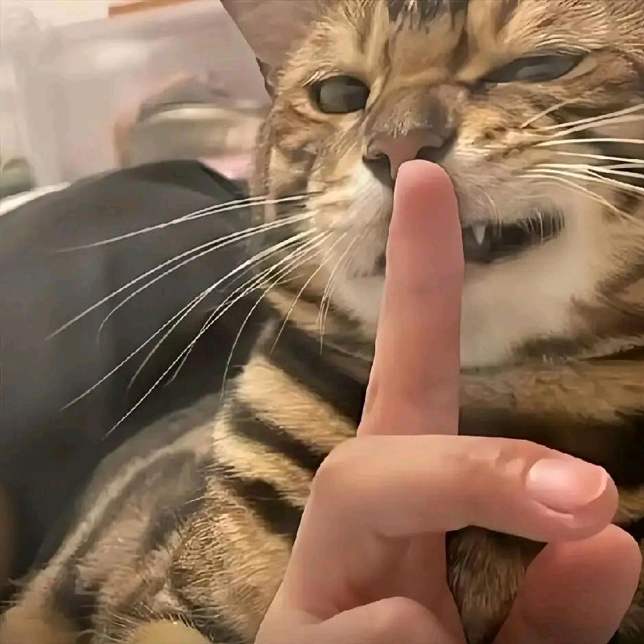 冬哥呢？