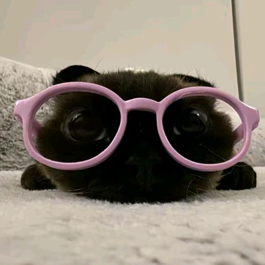 ✿
