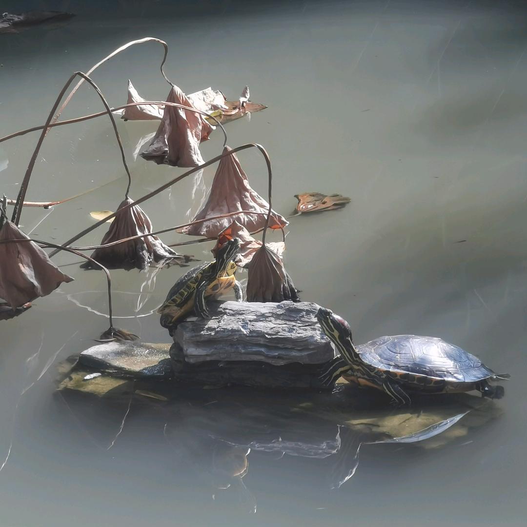 🌈🌈🌈东哥爱钓鱼🌈🌈🌈