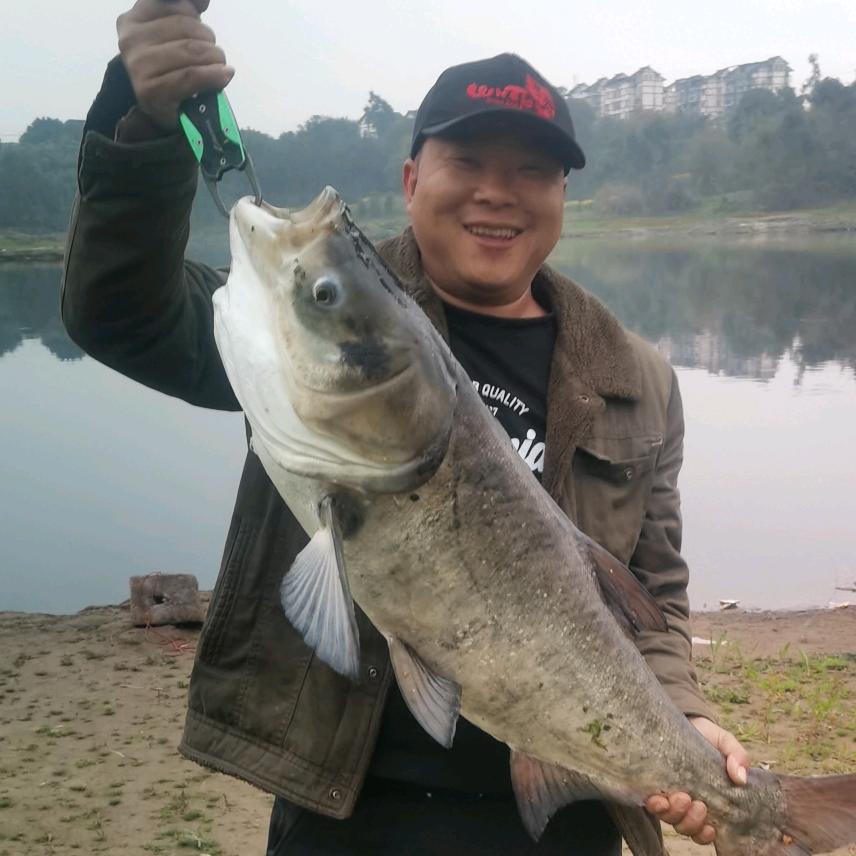 胡哥粑钓鱼