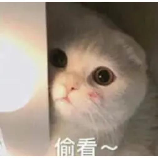 默默🍭🍭
