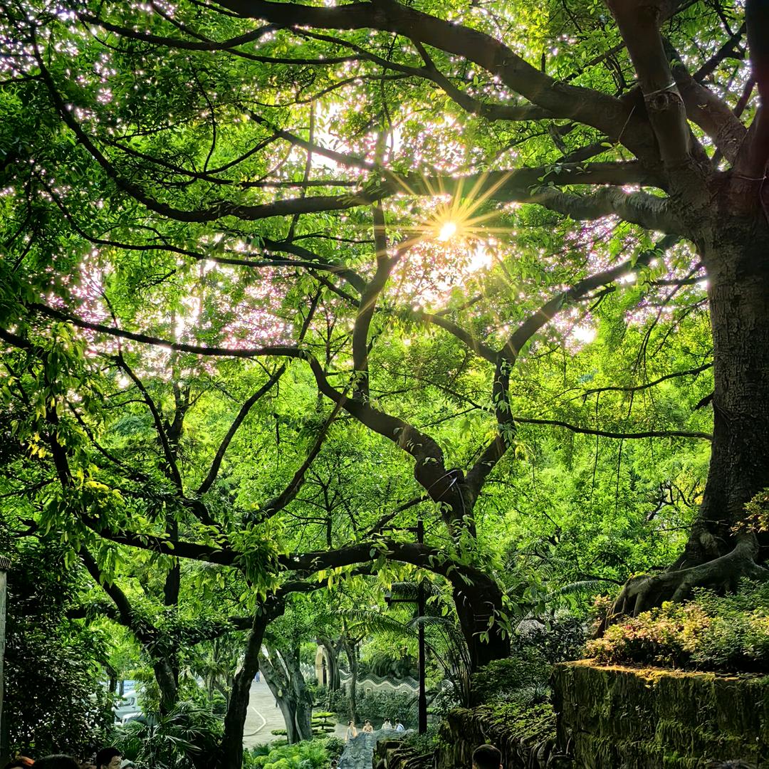 因发董宇辉说飞机大炮不如小家电被封30天