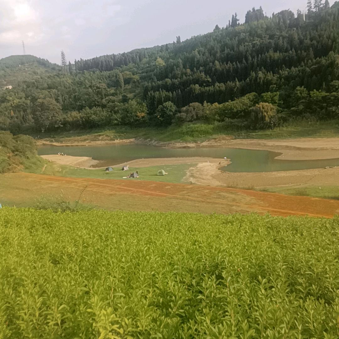 小何烤串