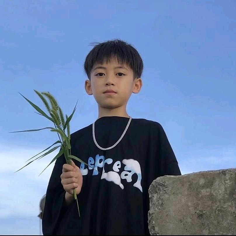 伟伟小王子👑