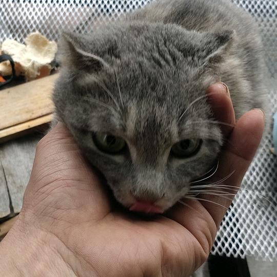 感觉像在飞