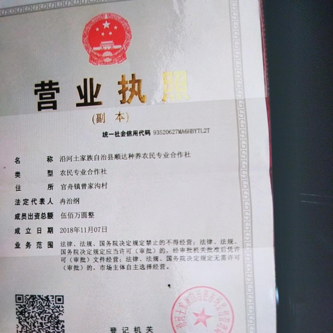 天顺彩钢瓦树脂瓦