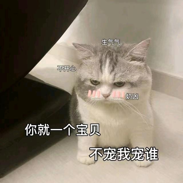 兰西县领湘月网络工作室