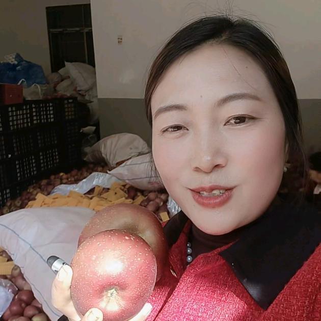 秦喜喜昭通苹果供应商(昭通苹果代办，一代