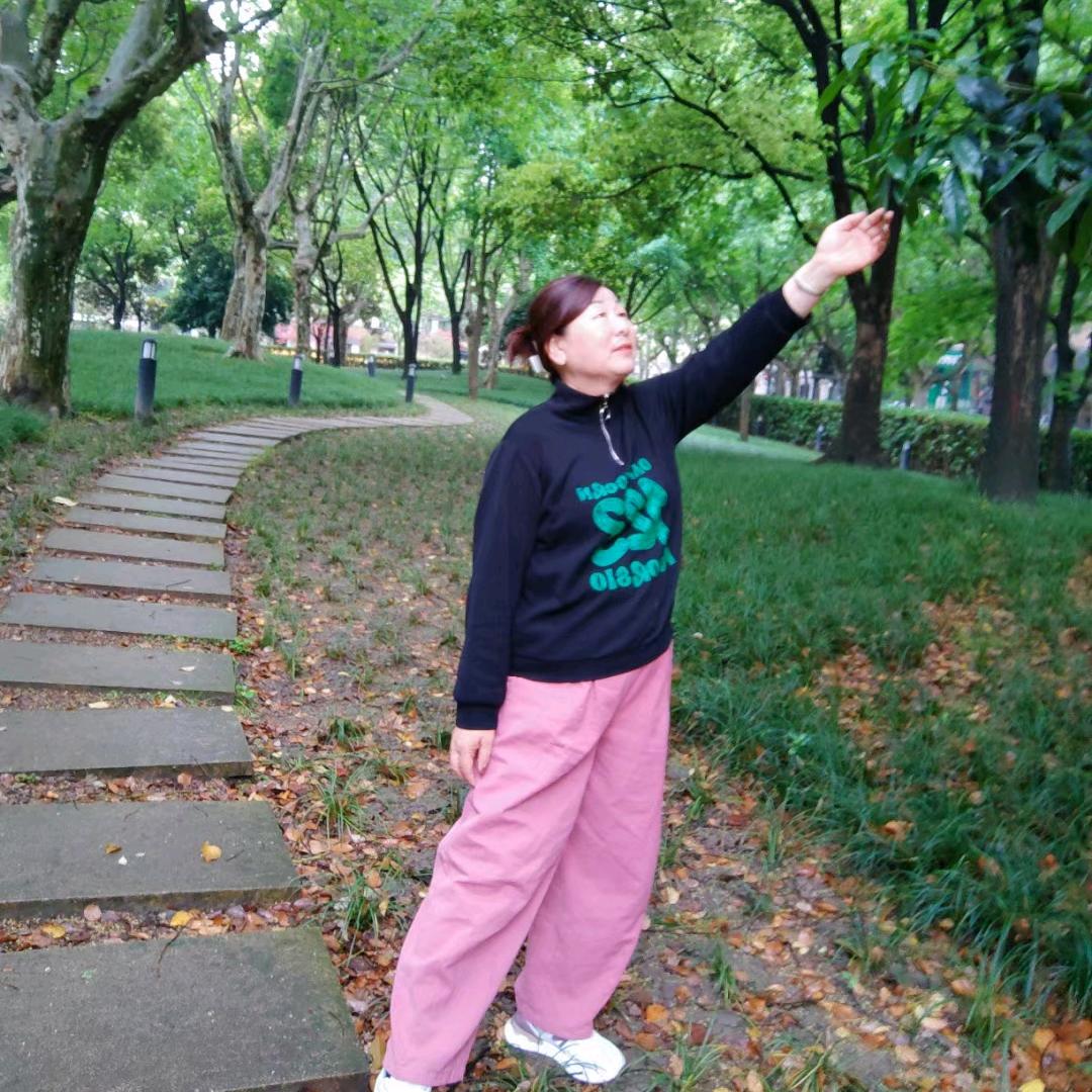 风中的云