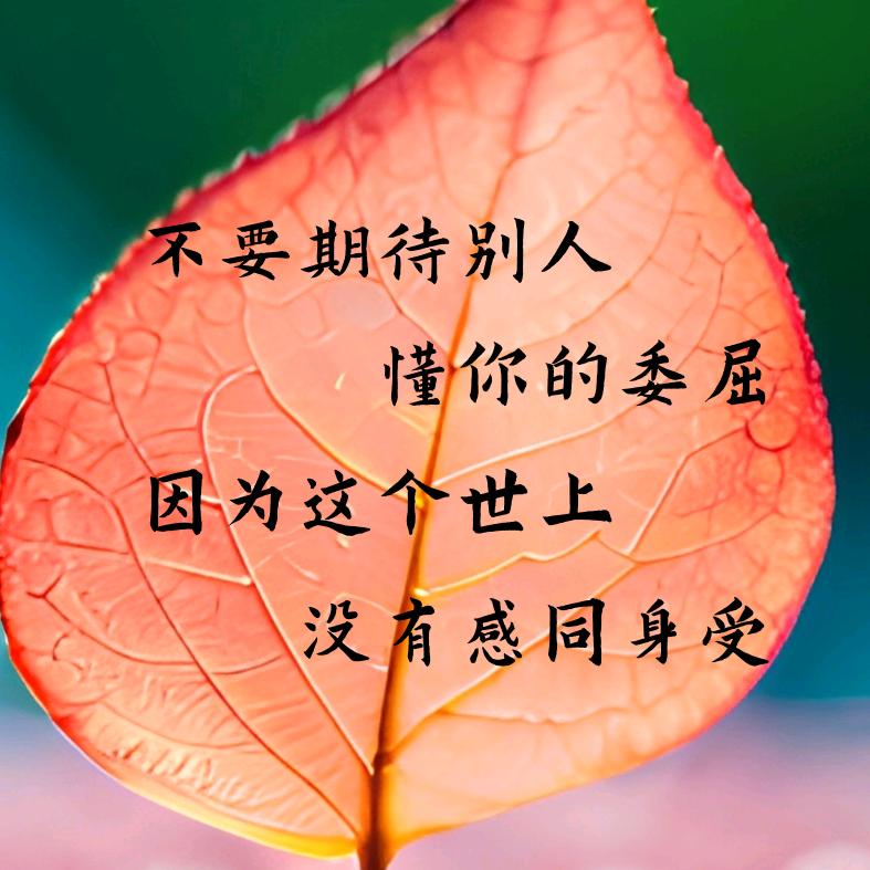 沫曦