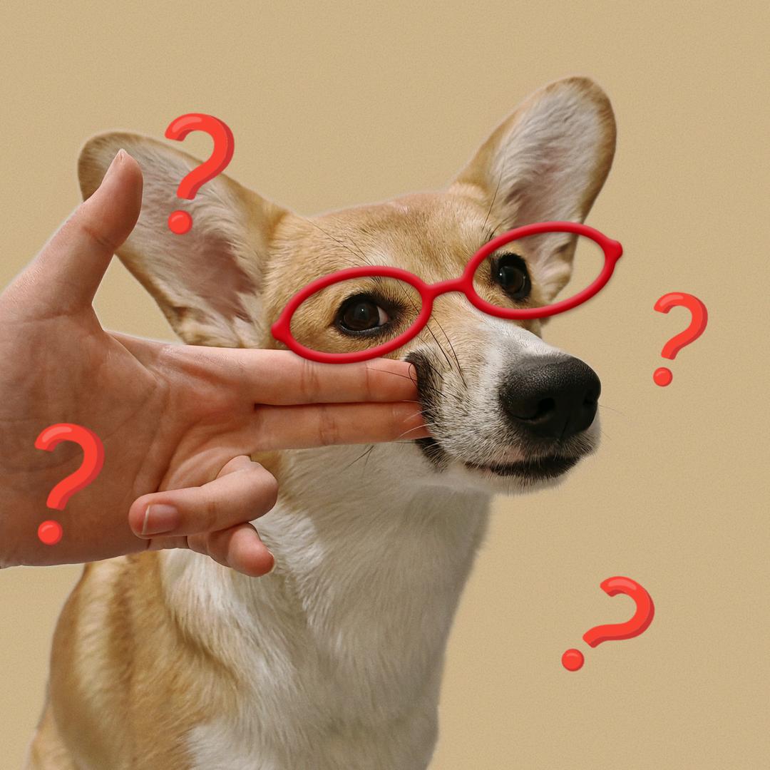 翠果，打烂他的嘴