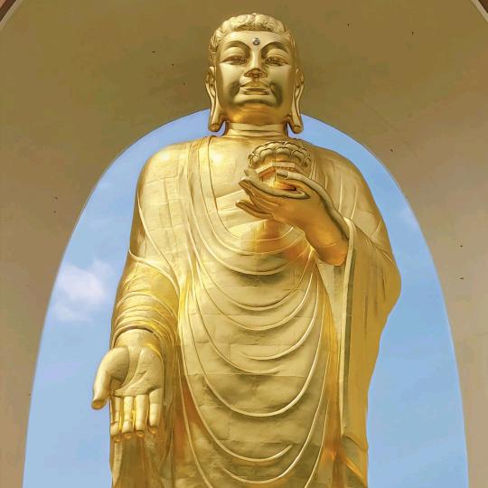 开着✈️去赶集