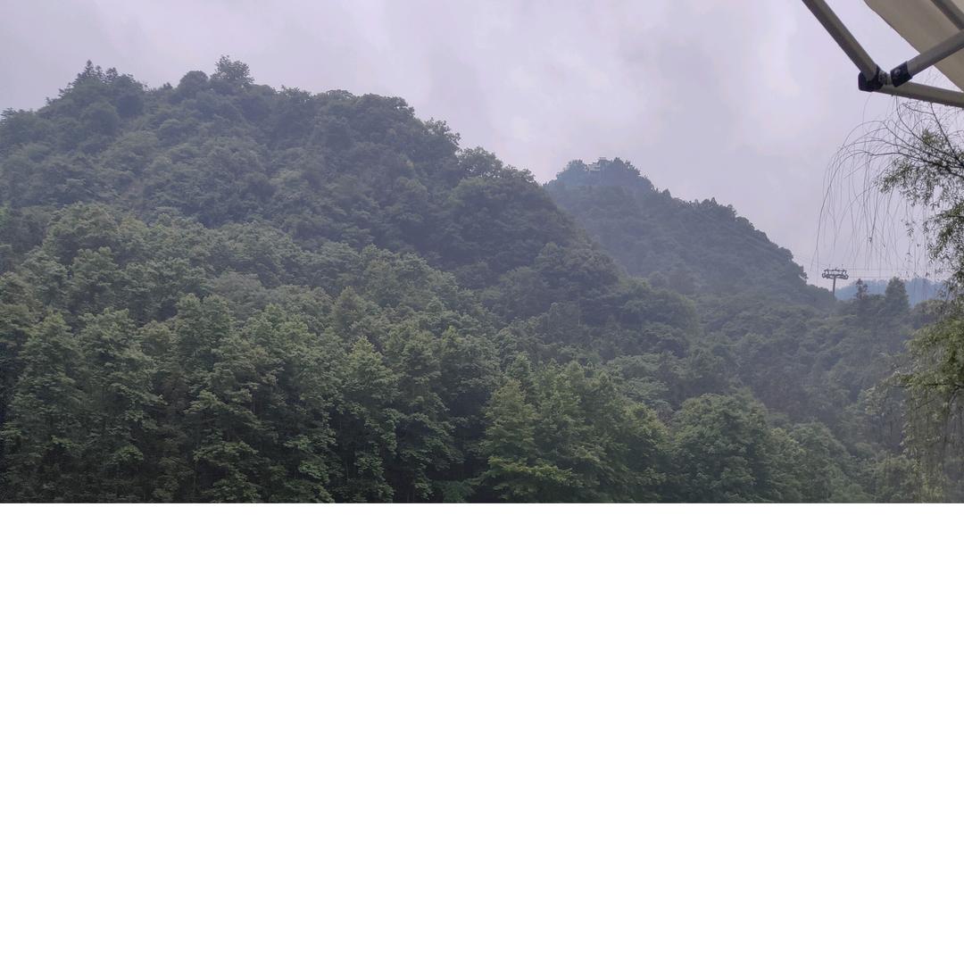 风中的我